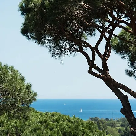 Marie Saint Tropez